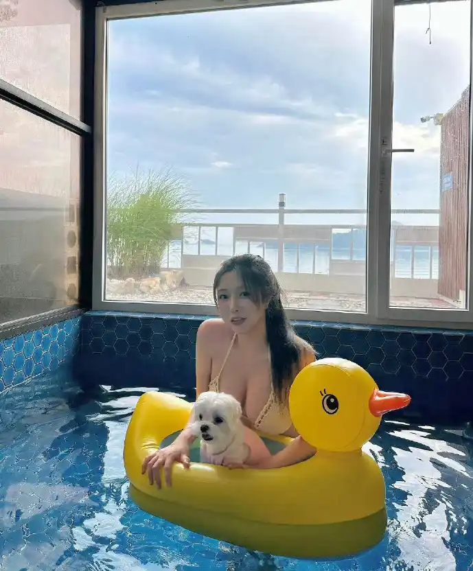 音乐盗版数据对比图